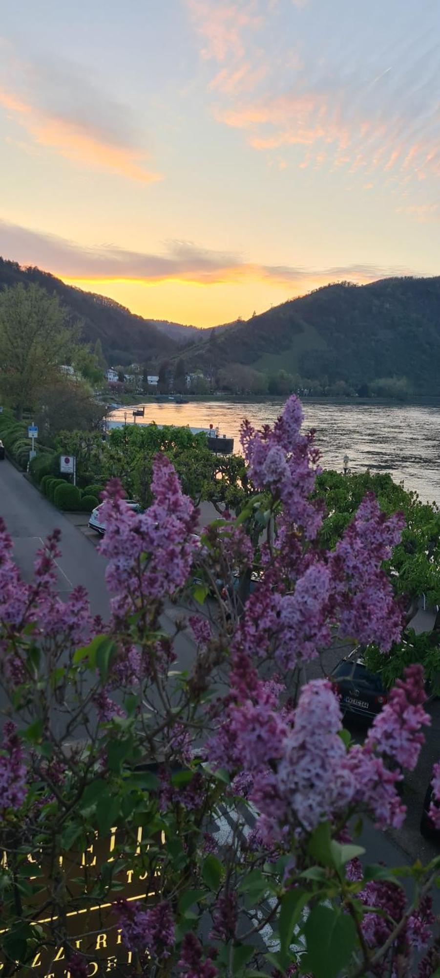 Castello Apartment Boppard Eksteriør billede